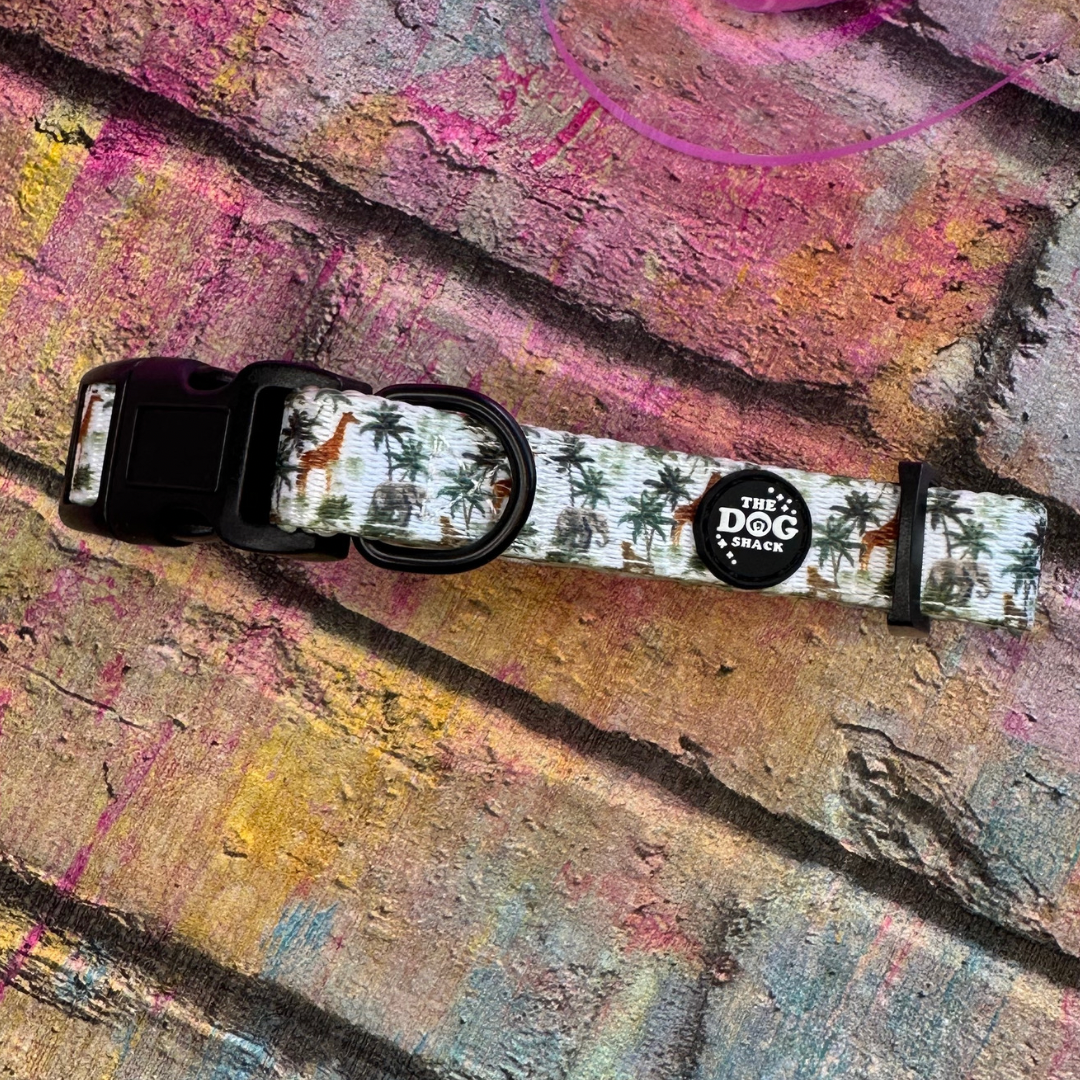 Collar - The Safari size small was £12