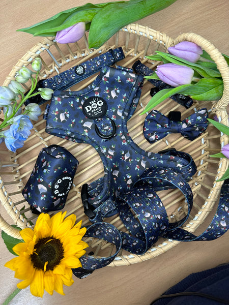 Blooming Wild Bundle Set