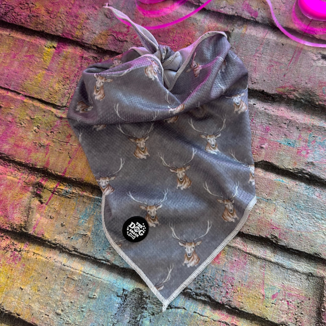 Tie On Bandana - Woodland Stag