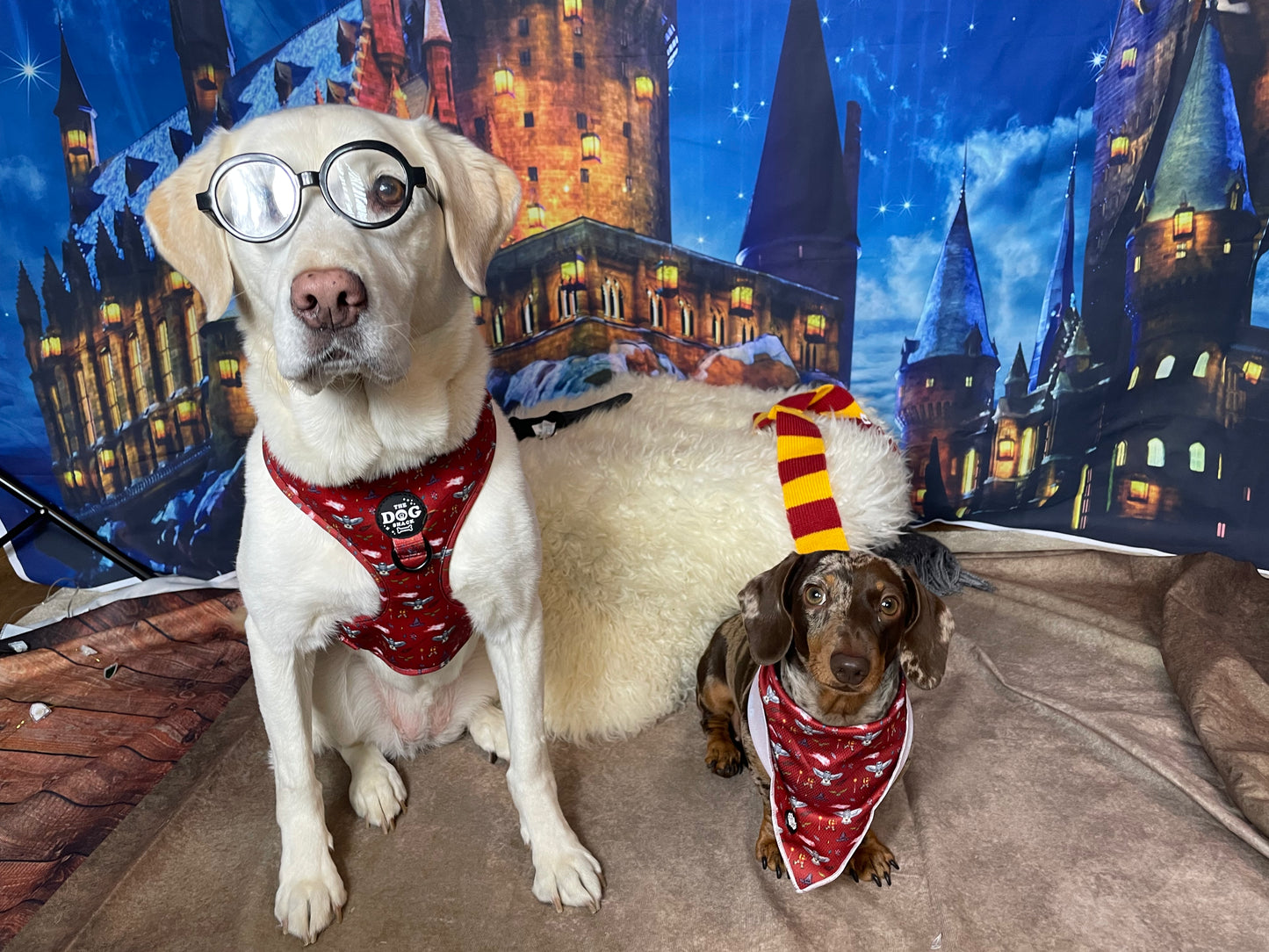 Tie On Bandana - The School of Magic size small was £6