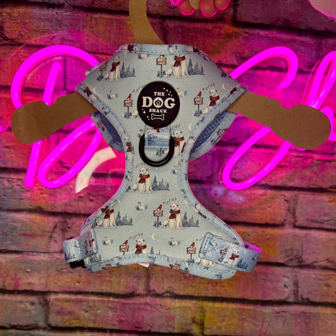 Adjustable Harness  - Basil’s Winter Wonderland size XXS was £25