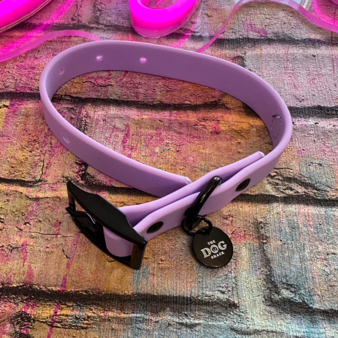 Waterproof Collar - Purple