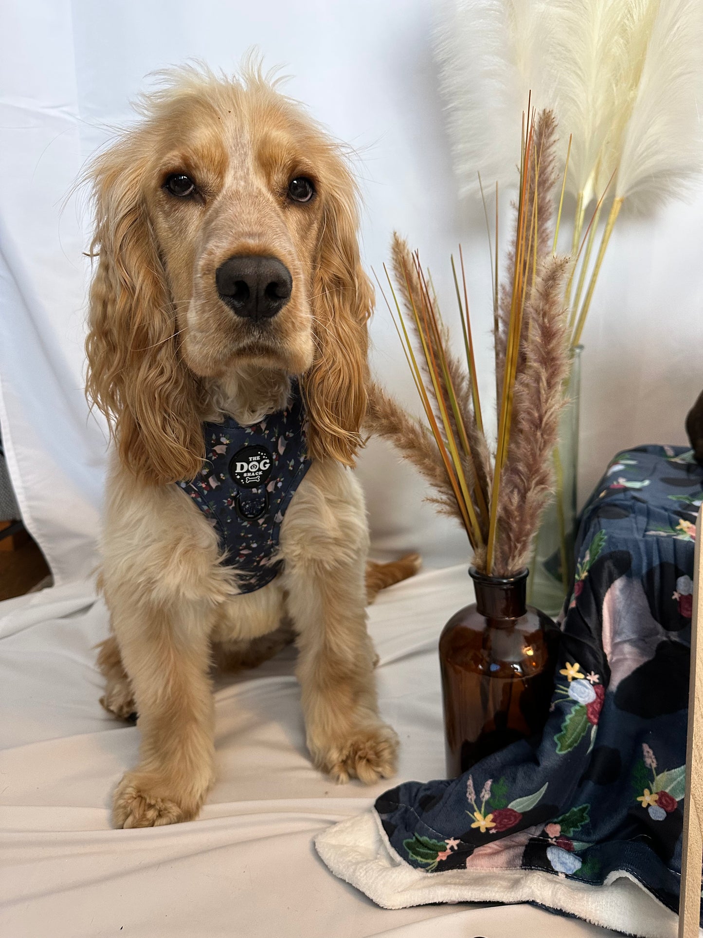 Adjustable Harness  - Blooming Wild size large was £25