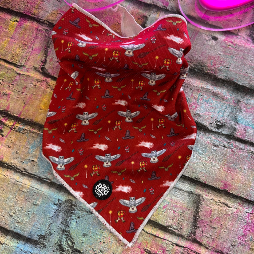 Tie On Bandana - The School of Magic size small was £6