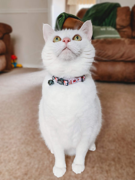 Adjustable Cat Collar - A Royal Day Out
