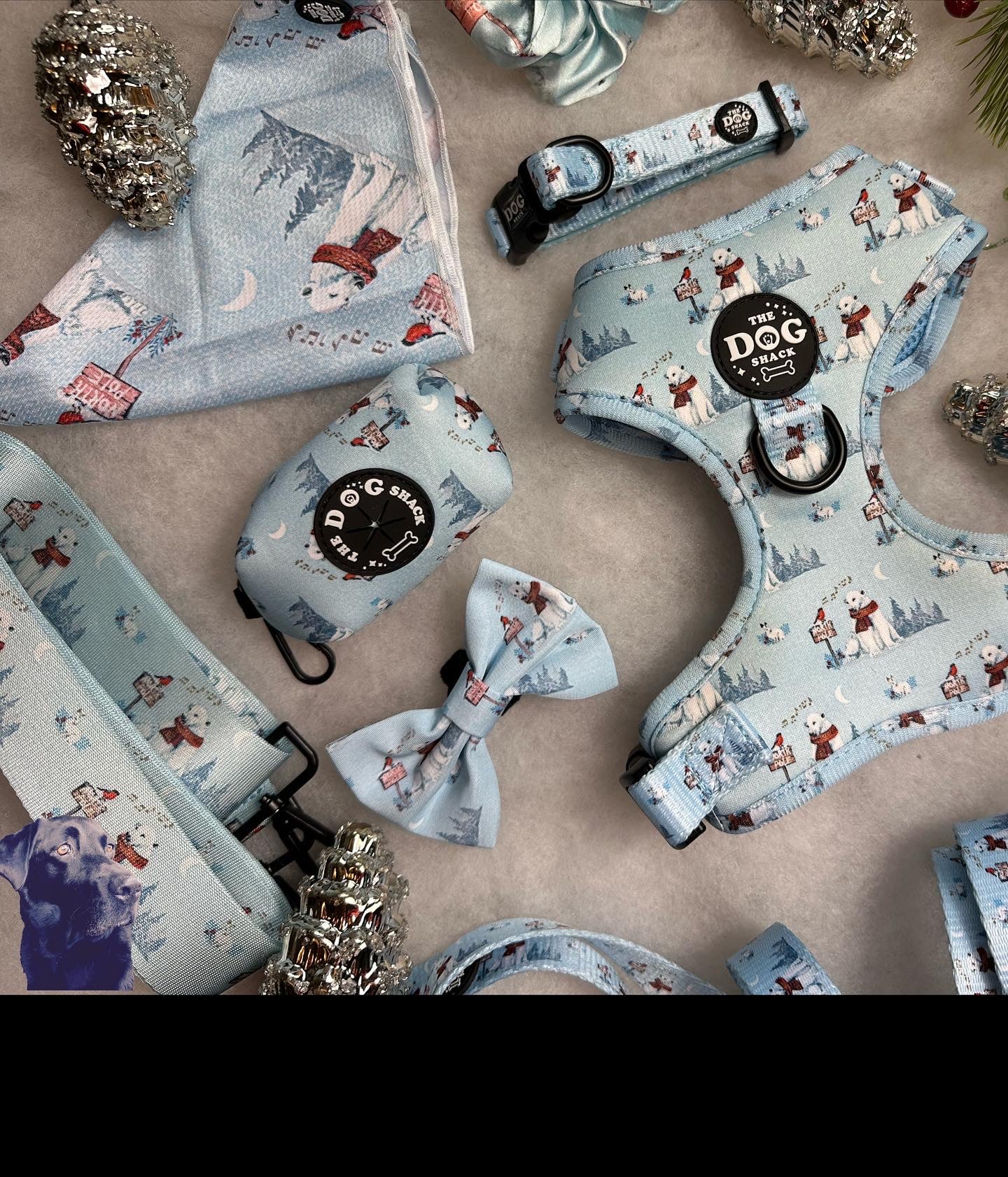 Adjustable Harness  - Basil’s Winter Wonderland size XXS was £25