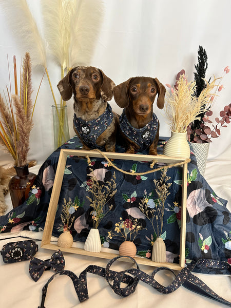 Blooming Wild Bundle Set