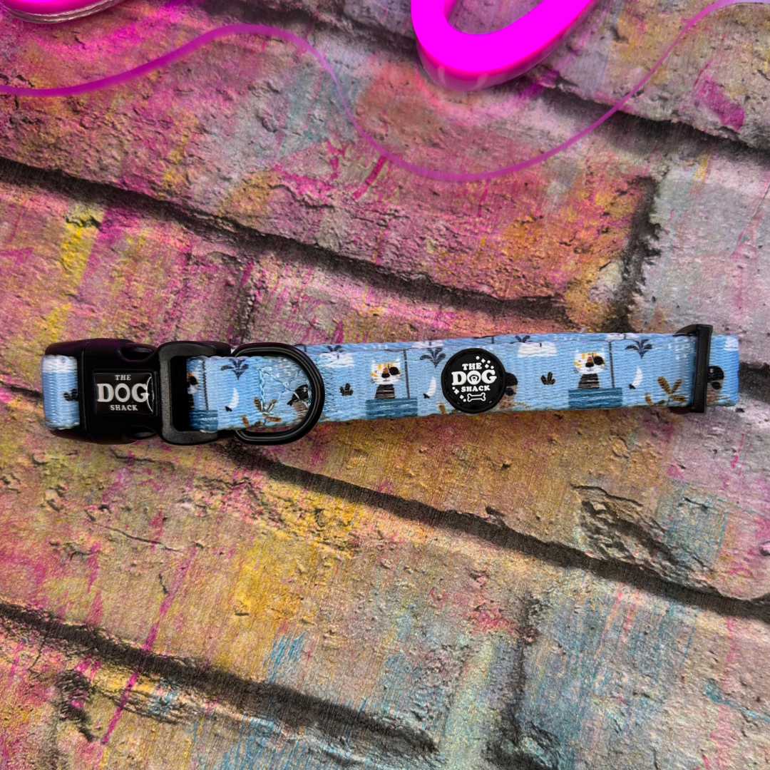 Collar - Pete the Pirate size large was £12