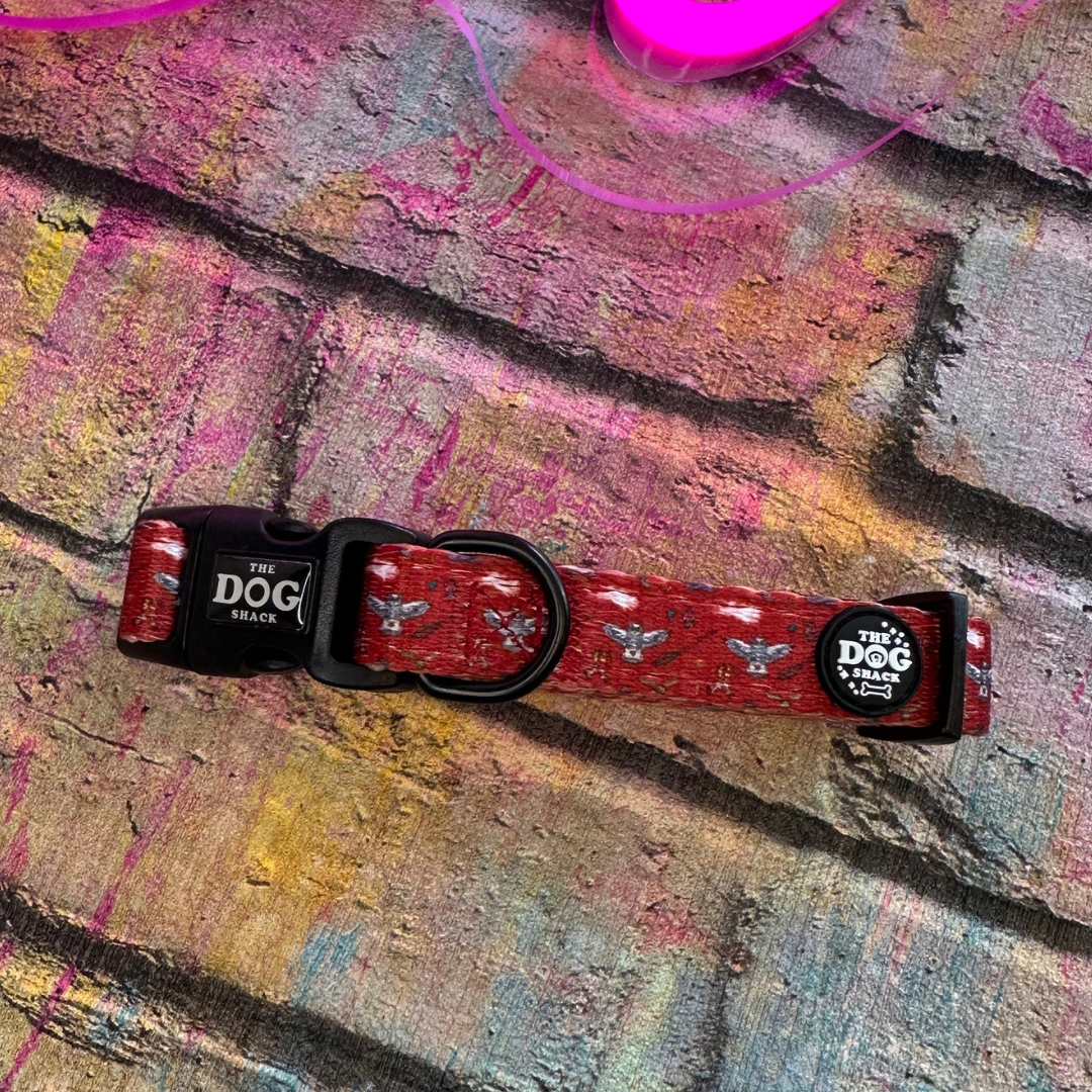 Collar - The School of Magic size Small was £12