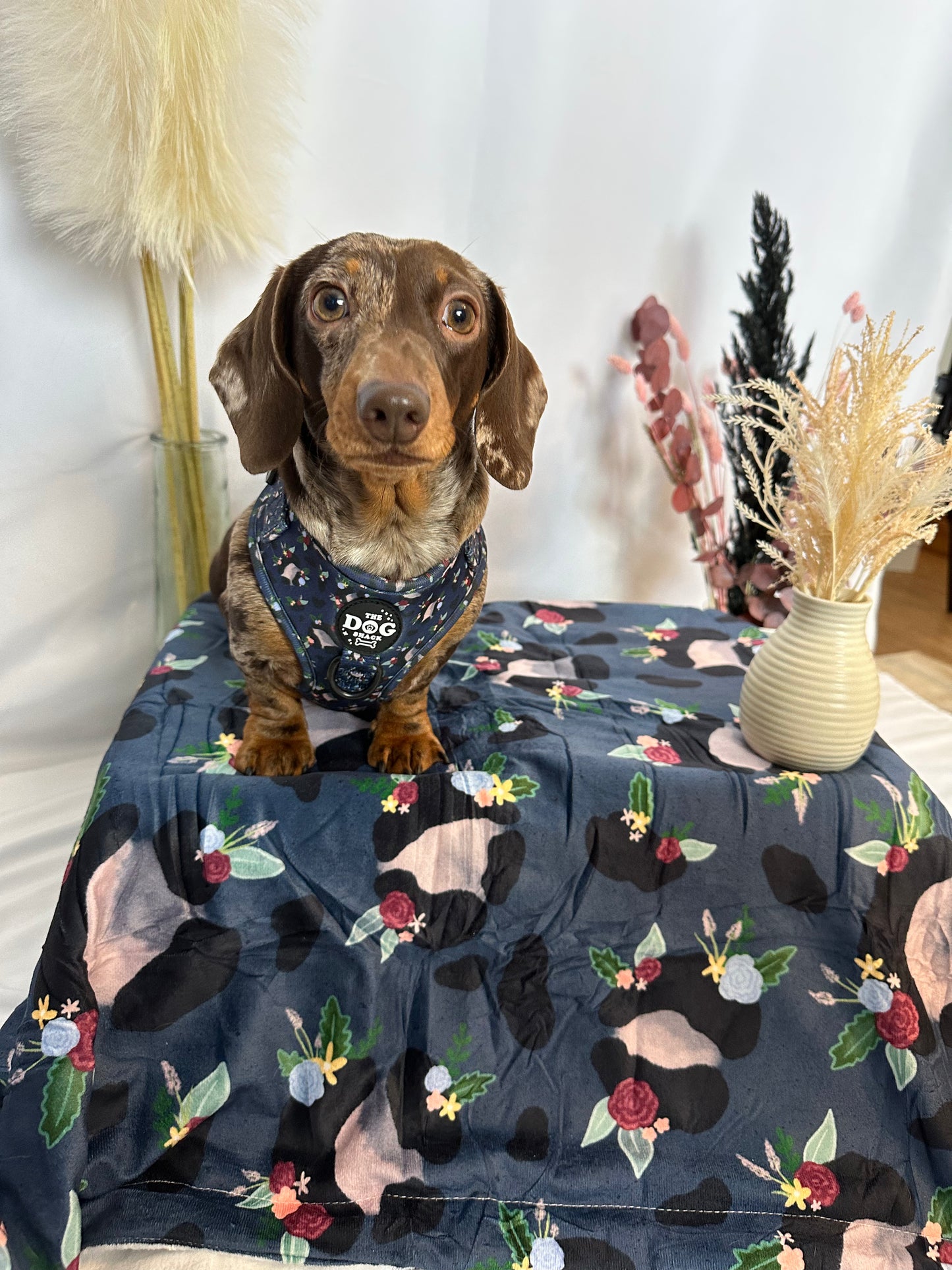 Adjustable Harness  - Blooming Wild size large was £25